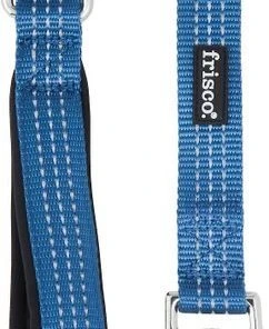 Frisco Traffic Leash with Padded Handles & Poop Bag Dispenser, Blue, Length: 6ft, Width: 1-in + Refill Dog Poop Bags, Scented, 120 count -PetNest Shop 319516 PT2. SY630 V1630620994