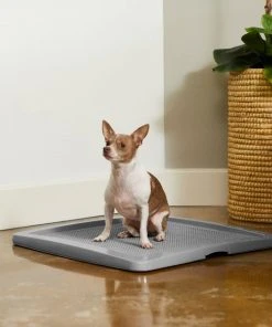 Frisco Training Pad Holder, 24-in x 24-in + Dog Training & Potty Pads, 22 x 23-in, 100 count, Unscented 15 Frisco Training Pad Holder, 24-in x 24-in + Dog Training & Potty Pads, 22 x 23-in, 100 count, Unscented -PetNest Shop 319526 PT4. SY630 V1630624305