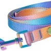 Frisco Purple Ombre Style Dog Leash -PetNest Shop 324514 MAIN. SY630 V1642518850