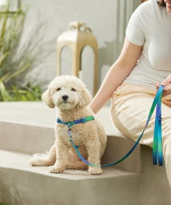 Frisco Green Ombre Style Dog Leash -PetNest Shop 324518 PT4. SY630 V1642518628