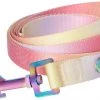 Frisco Pink Ombre Style Dog Leash -PetNest Shop 324523 MAIN. SY630 V1642519775