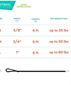 Frisco Pink Ombre Style Dog Leash -PetNest Shop 324523 PT2. SY630 V1642519814