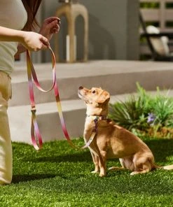 Frisco Pink Ombre Style Dog Leash -PetNest Shop 324523 PT4. SY630 V1642519102