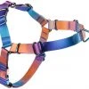 Frisco Purple Ombre Style Dog Harness