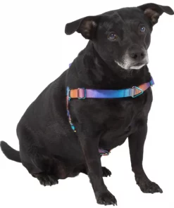 Frisco Purple Ombre Style Dog Harness 9 Frisco Purple Ombre Style Dog Harness -PetNest Shop 324526 PT2. SY630 V1642519692