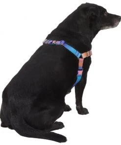 Frisco Purple Ombre Style Dog Harness 10 Frisco Purple Ombre Style Dog Harness -PetNest Shop 324526 PT3. SY630 V1642519104
