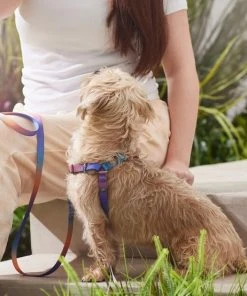 Frisco Purple Ombre Style Dog Harness 11 Frisco Purple Ombre Style Dog Harness -PetNest Shop 324526 PT4. SY630 V1642518470