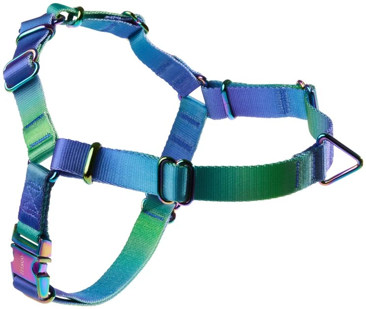 Frisco Green Ombre Style Dog Harness 3 Frisco Green Ombre Style Dog Harness