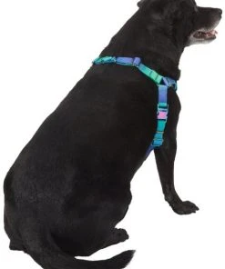 Frisco Green Ombre Style Dog Harness 10 Frisco Green Ombre Style Dog Harness -PetNest Shop 324531 PT3. SY630 V1642518631