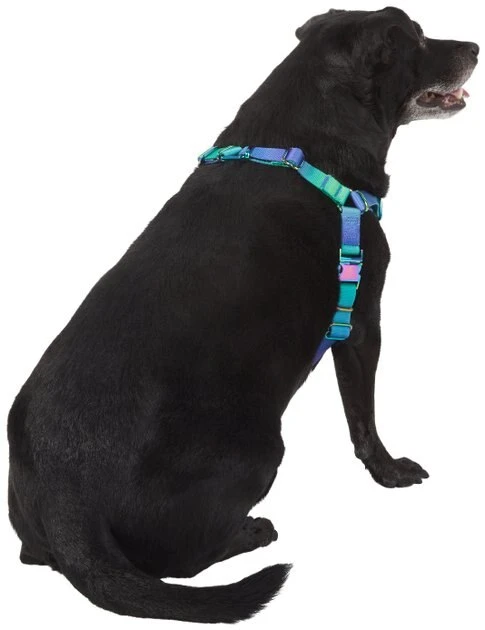 Frisco Green Ombre Style Dog Harness 6 Frisco Green Ombre Style Dog Harness - Image 4