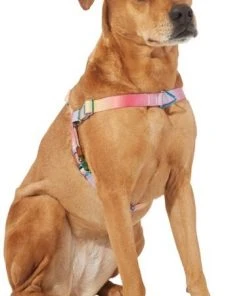 Frisco Pink Ombre Style Dog Harness -PetNest Shop 324536 PT2. SY630 V1642518223