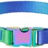 Frisco Green Ombre Style Dog Collar -PetNest Shop 324546 MAIN. SY630 V1642519605