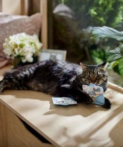 Frisco Mother's Day Card Felt Cat Toy with Catnip, 2 count -PetNest Shop 327025 PT3. SY630 V1646948030