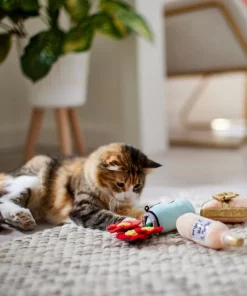 Frisco Mother's Day Gifts Plush Cat Toy with Catnip, 3 count 7 Frisco Mother's Day Gifts Plush Cat Toy with Catnip, 3 count -PetNest Shop 327027 PT3. SY630 V1646948055