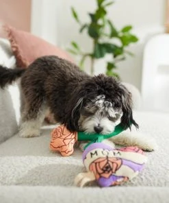 Frisco Mother's Day Rose & Heart Plush Squeaky Dog Toy, 2 count -PetNest Shop 327033 PT3. SY630 V1646947953