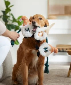 Frisco Mother's Day Gnomes Plush with Rope Squeaky Dog Toy -PetNest Shop 327037 PT3. SY630 V1646948102