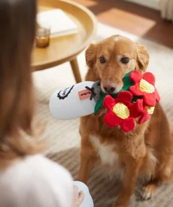 Frisco Mother's Day Mason Jar Flower Blooms Plush Squeaky Dog Toy -PetNest Shop 327039 PT3. SY630 V1646947919