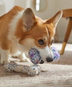 Frisco Mother's Day TPR Bone Squeaky Dog Toy, 2 count 7 Frisco Mother's Day TPR Bone Squeaky Dog Toy, 2 count -PetNest Shop 327041 PT3. SY630 V1646947973