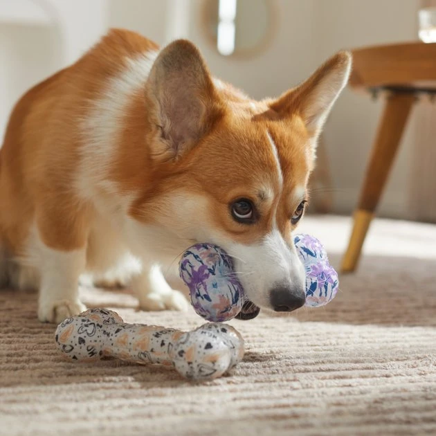 Frisco Mother's Day TPR Bone Squeaky Dog Toy, 2 count 5 Frisco Mother's Day TPR Bone Squeaky Dog Toy, 2 count - Image 3