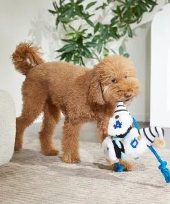 Frisco Dad Gnome Plush with Rope Dog Toy -PetNest Shop 327053 PT3. SY630 V1648667286