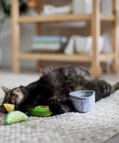 Frisco Guacamole Bowl Cat Toy with Catnip, Medium, 4 count -PetNest Shop 327059 PT3. SY630 V1645205519