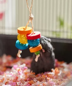 Frisco Small Pet Dangly Wooden Chew Toy -PetNest Shop 330871 PT3. SY630 V1647530133