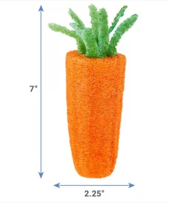 Frisco Small Pet Carrot Loofah Chew Toy -PetNest Shop 330873 PT1. SY630 V1646947707