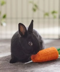 Frisco Small Pet Carrot Loofah Chew Toy -PetNest Shop 330873 PT2. SY630 V1647530171