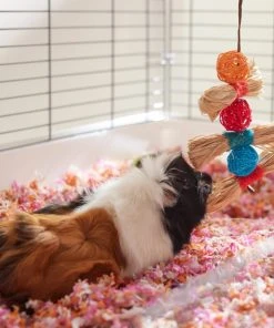 Frisco Small Pet Hanging Ball & Grass Chew Toy -PetNest Shop 330879 PT3. SY630 V1647530212