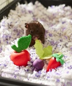 Frisco Small Pet Wooden Fruit Assortment Chew Toy 7 Frisco Small Pet Wooden Fruit Assortment Chew Toy -PetNest Shop 330883 PT2. SY630 V1647530150