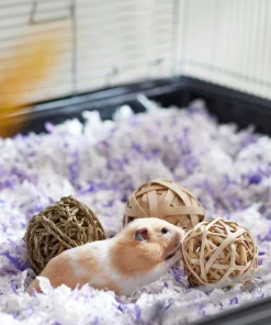 Frisco Trio Balls Small Pet Chew Toys 7 Frisco Trio Balls Small Pet Chew Toys -PetNest Shop 330885 PT2. SY630 V1647530230