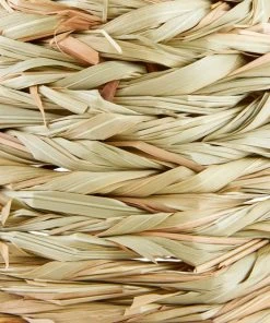 Frisco Tent Small Pet Hideout -PetNest Shop 330896 PT2. SY630 V1646947924