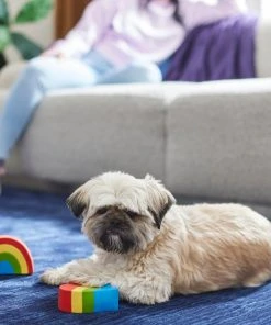 Frisco Pride Rainbow & Heart Latex Squeaky Dog Toy, 2 count -PetNest Shop 331632 PT3. SY630 V1647355825