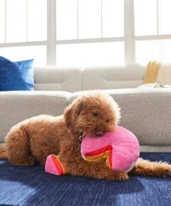 Frisco Pride Cake Plush Squeaky Dog Toy, 2 count -PetNest Shop 331636 PT3. SY630 V1647355871