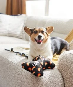 Frisco Pride Proud Pup Bone Plush Squeaky Dog Toy -PetNest Shop 331638 PT3. SY630 V1647355940