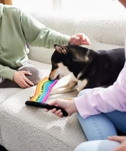 Frisco Pride Flag Flat Squeaky Dog Toy -PetNest Shop 331640 PT3. SY630 V1647355852