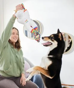 Frisco Pride Love Unicorn Plush with Rope Squeaky Dog Toy -PetNest Shop 331642 PT3. SY630 V1647355918