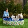 Frisco Outdoor Dog Swimming Pool, Hawaiian Print