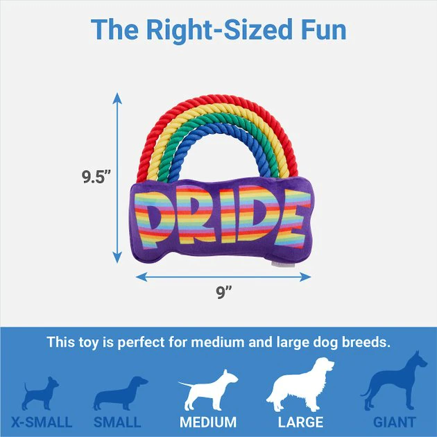 Frisco Pride Rainbow Plush with Rope Squeaky Dog Toy 4 Frisco Pride Rainbow Plush with Rope Squeaky Dog Toy - Image 2