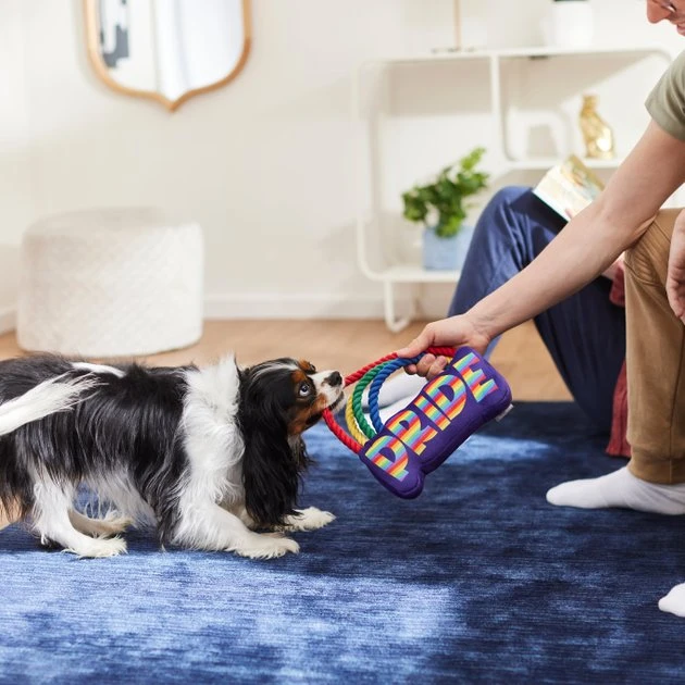 Frisco Pride Rainbow Plush with Rope Squeaky Dog Toy 5 Frisco Pride Rainbow Plush with Rope Squeaky Dog Toy - Image 3