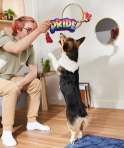 Frisco Pride Plush with Rope Squeaky Dog Toy 7 Frisco Pride Plush with Rope Squeaky Dog Toy -PetNest Shop 331661 PT3. SY630 V1647356002