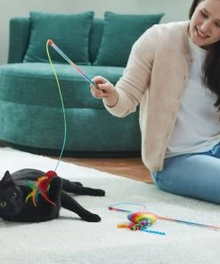 Frisco Pride Teaser Wand Cat Toy with Catnip, 2 count -PetNest Shop 331682 PT3. SY630 V1647355648