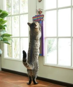 Frisco Pride Rainbow Hanging Cat Scratcher Toy with Catnip -PetNest Shop 331686 PT3. SY630 V1647355633