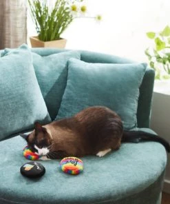 Frisco Pride Buttons Plush Cat Toy with Catnip, 3 count 7 Frisco Pride Buttons Plush Cat Toy with Catnip, 3 count -PetNest Shop 331688 PT3. SY630 V1647355746