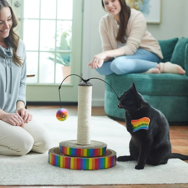 Frisco Pride Interactive Cat Scratcher Toy with Catnip 6 Frisco Pride Interactive Cat Scratcher Toy with Catnip - Image 4