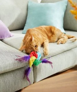 Frisco Pride Pin Wheel Cat Toy -PetNest Shop 331694 PT3. SY630 V1647355785