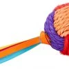 Frisco Pride Rainbow Sisal Ball Cat Toy -PetNest Shop 331700 MAIN. SY630 V1649086656
