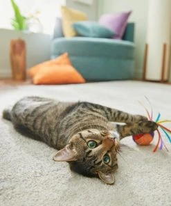 Frisco Pride Rainbow Sisal Ball Cat Toy -PetNest Shop 331700 PT3. SY630 V1647355727