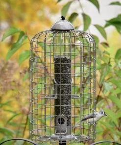 Frisco Ultra Squirrel Defense Wild Bird Feeder 8 Frisco Ultra Squirrel Defense Wild Bird Feeder -PetNest Shop 333281 PT3. SY630 V1646665002