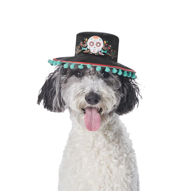 Frisco Day of the Dead Dog & Cat Hat